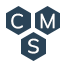 CMS Development